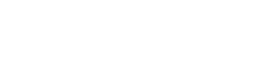 Partner - NoOnes Logo.png